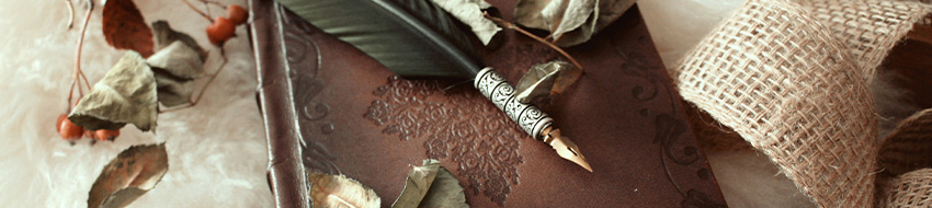 Book with a feather quill on top.